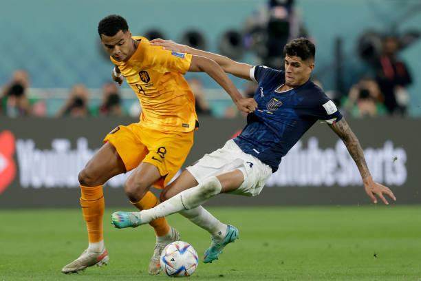 开云官网-王勤伯：范加尔看得更远，但他只能靠成绩说话