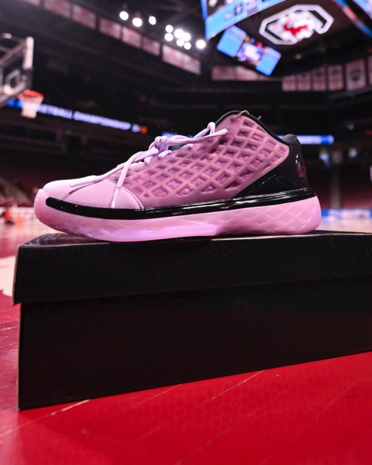 开云APP-球员真幸福！南加大女篮晒出的各种专属PE球鞋和特别鞋款！